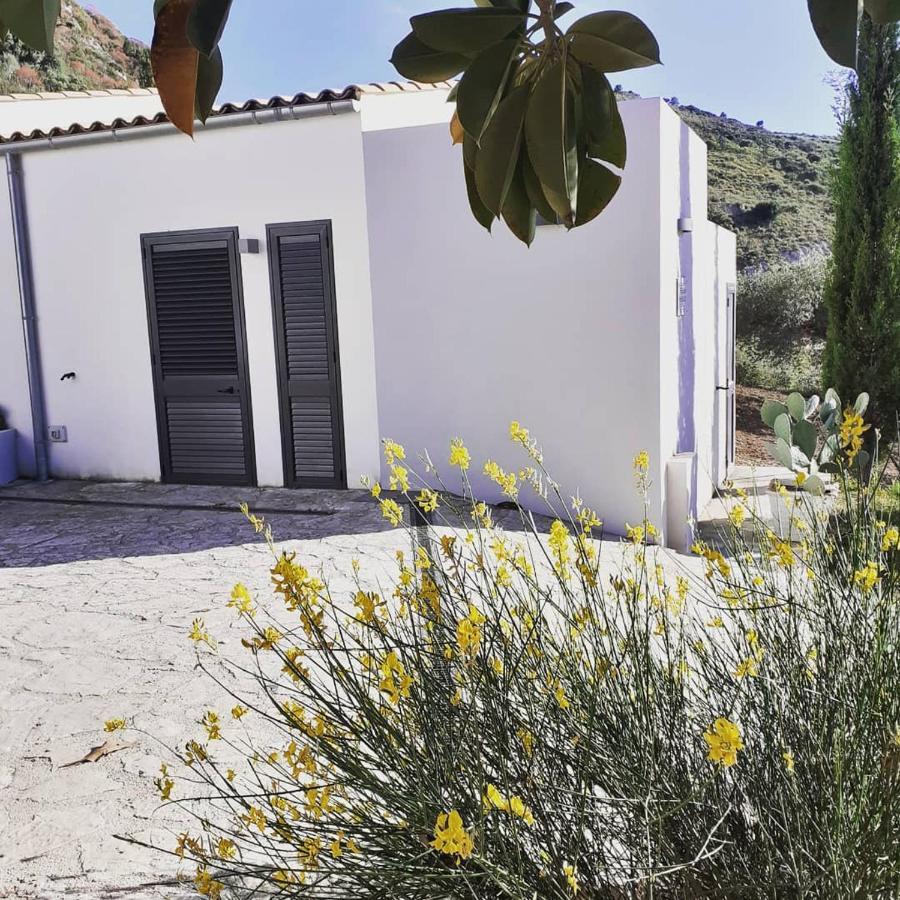 Agriturismo Casebianche 蒙塔莱格罗 外观 照片