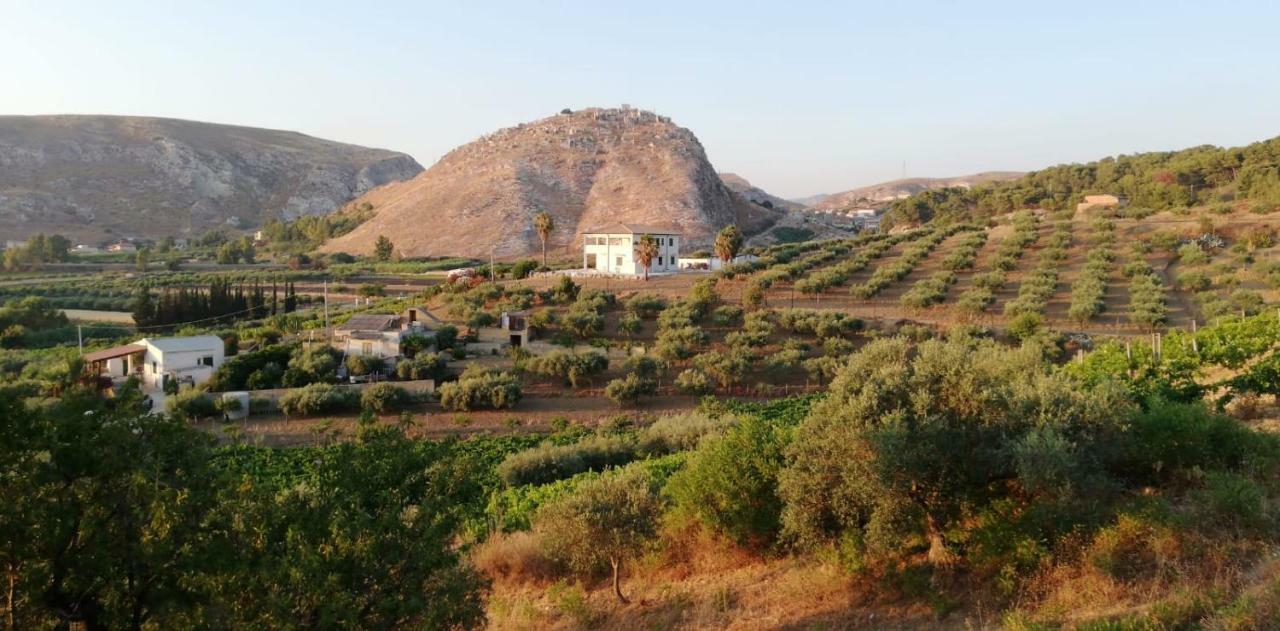 Agriturismo Casebianche 蒙塔莱格罗 外观 照片